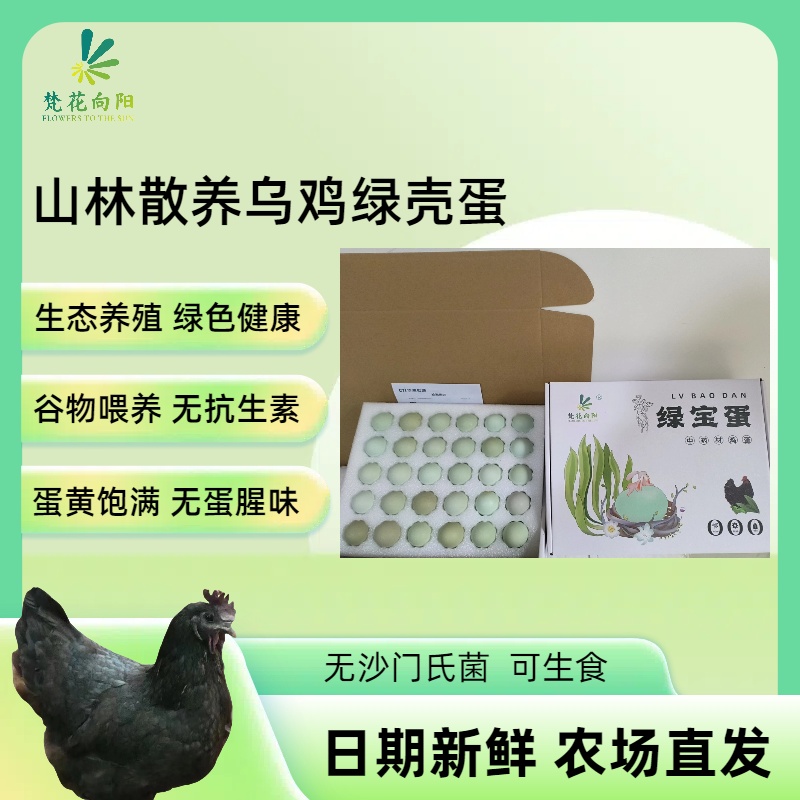 山林散养跑山鸡乌鸡蛋农场现捡现发礼盒装破损包赔