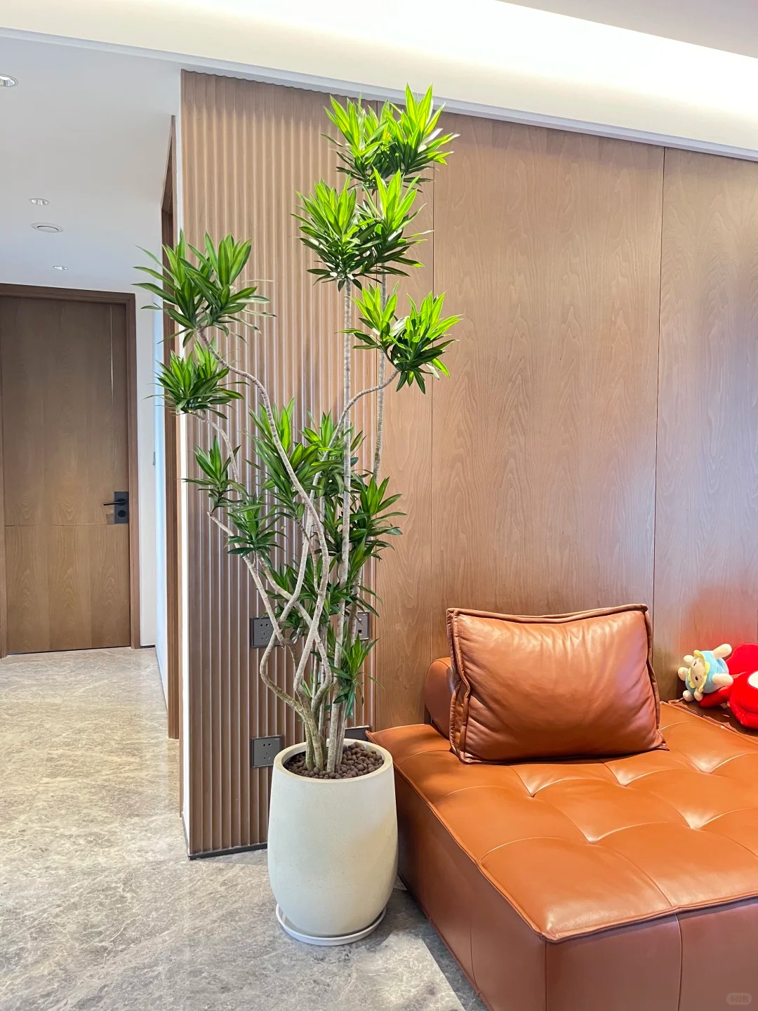 百合竹客厅绿植盆栽精品高端老桩高级感室内真花旺宅植物造型轻奢