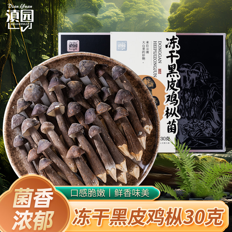 【滇园】云南冻干黑皮鸡枞菌30g礼盒款特产新鲜冻干锁鲜送礼