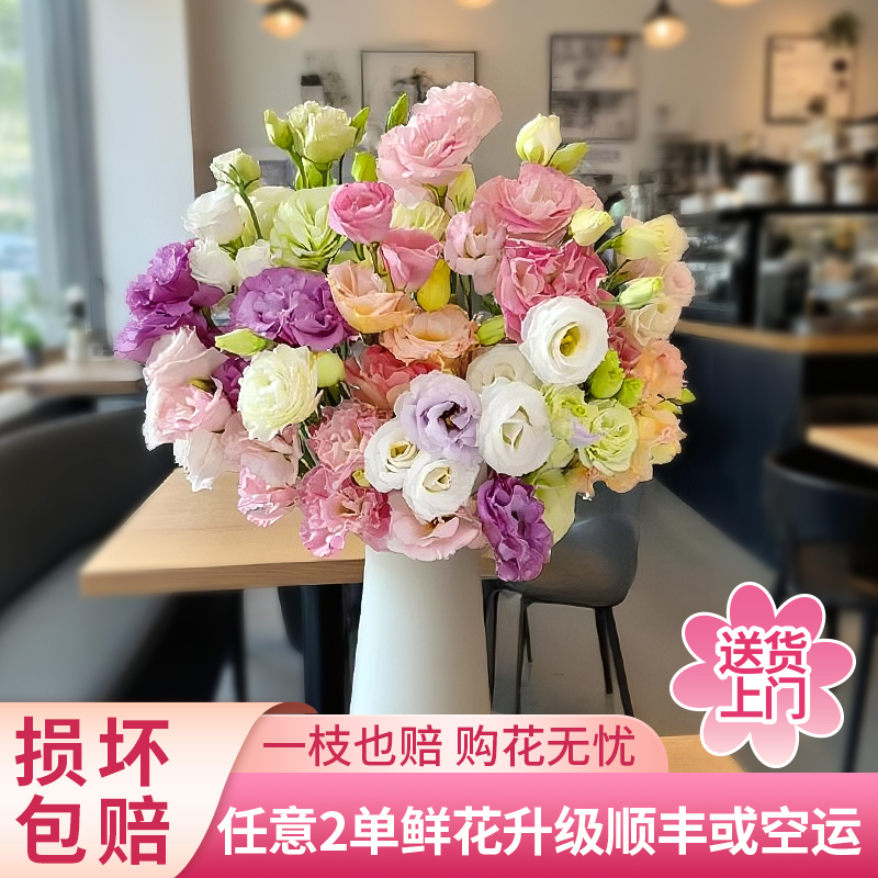 【黄梦宇】混色洋桔梗全场鲜花任意满两单及以上送货上门云南直发