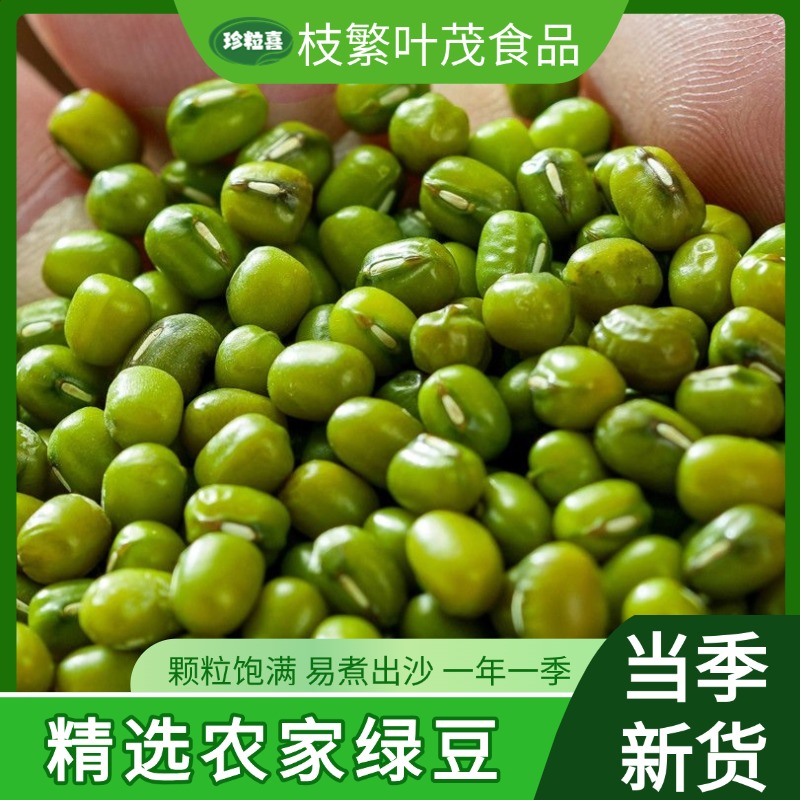 2025年新绿豆农家自产新鲜可发芽绿豆易煮饱满煲汤绿豆糕解暑清凉