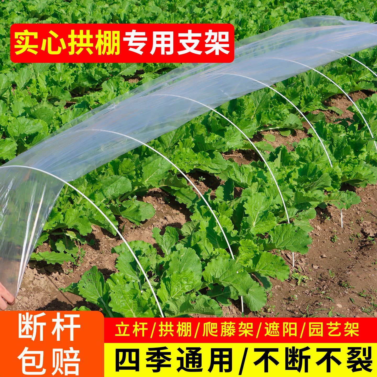 拱棚支架农用保温棚育苗杆蔬菜秧苗玻璃纤维杆弹性避雨架大棚骨架