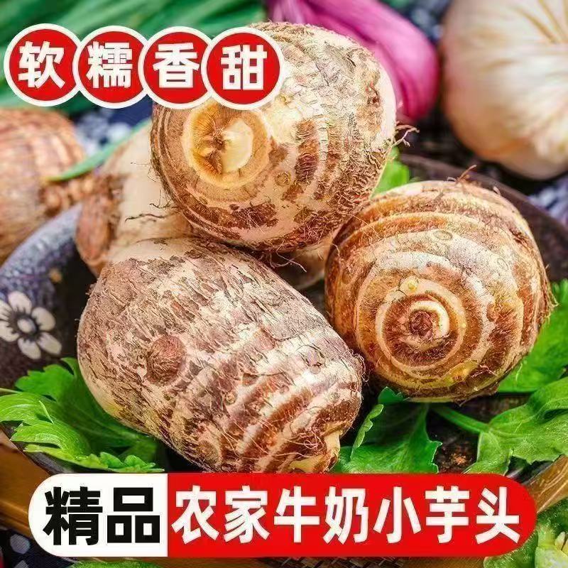 贵州牛奶芋头新鲜现挖批发农家整箱芋艿软糯香甜蔬菜