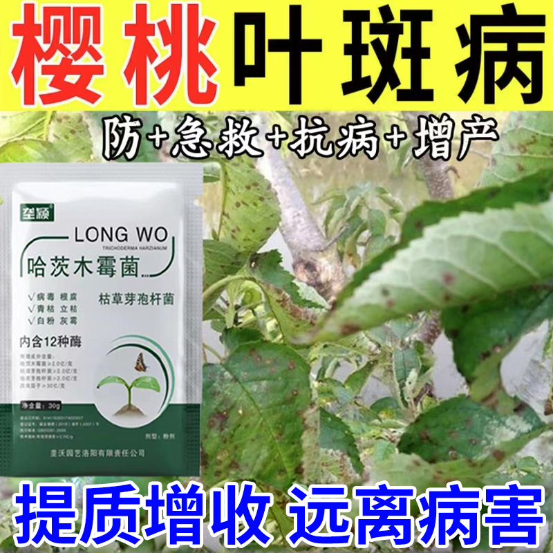 樱桃病专用肥黄叶疮痂病黑星穿孔流胶病褐斑根腐叶斑病专用叶面肥