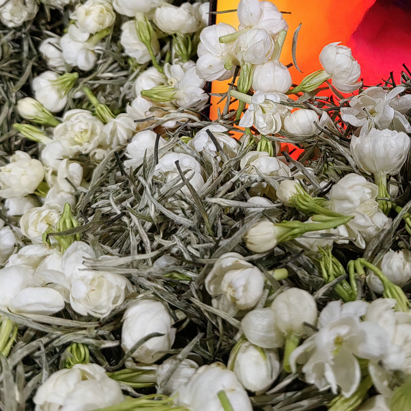 2025新茶8#茉莉花茶四川雅安明前嫩芽全芽头针飘飞雪蒙顶高山云雾