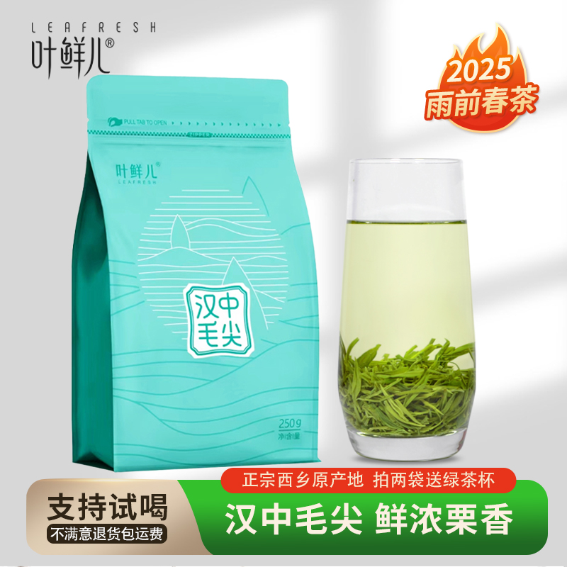 叶鲜儿2025新茶汉中毛尖250g春绿茶叶雨前浓香西乡原产地炒青仙毫