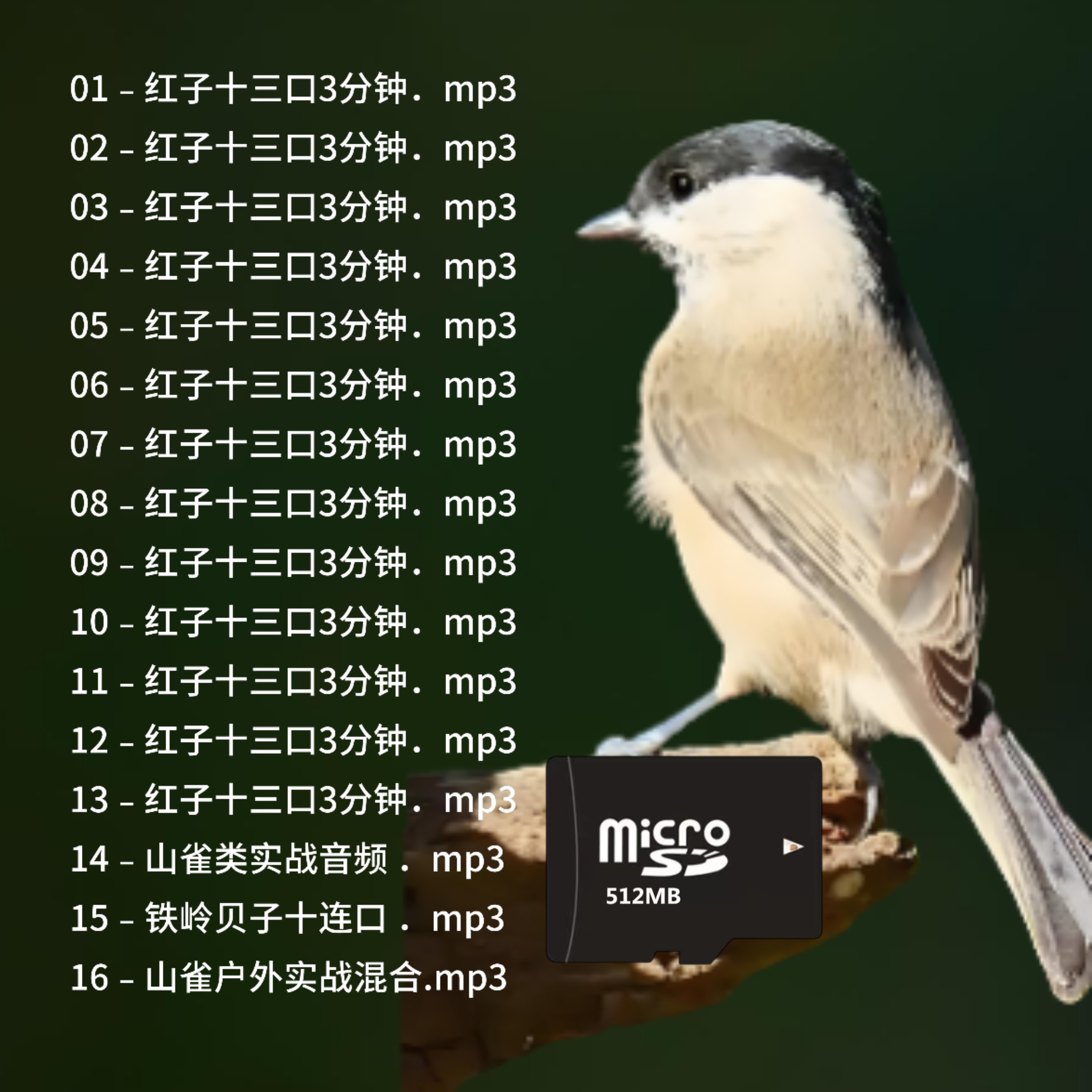 红子贝子音频卡存储卡