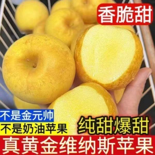 正宗山东黄金维纳斯雀斑女神苹果当季新鲜水果脆甜多汁、丑苹果