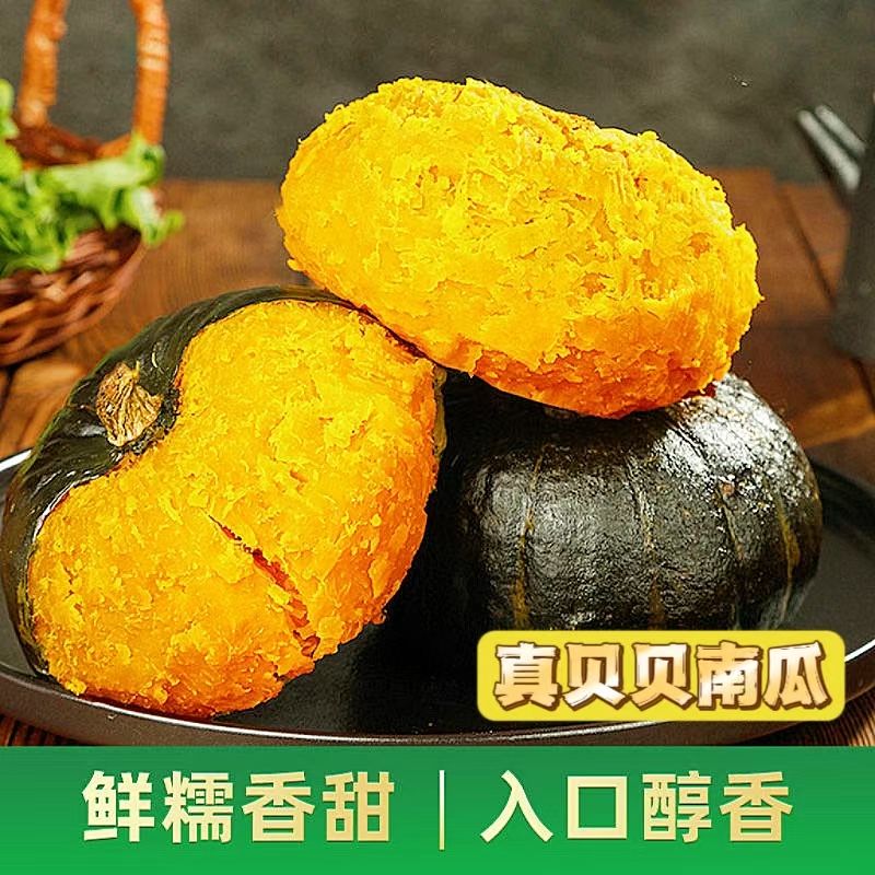 精选沙地贝贝粉糯香甜板栗味内贝贝小南瓜辅食粗粮代餐