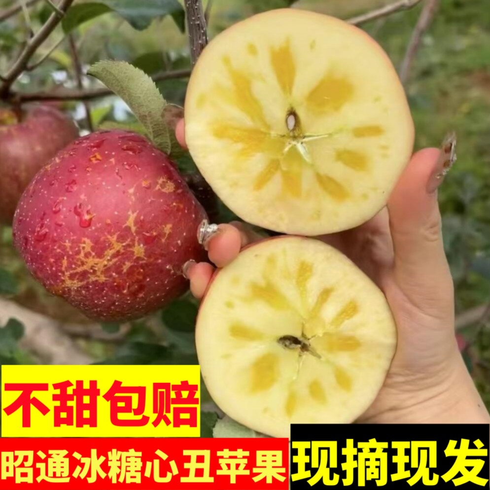 2025正宗云南苹果昭通冰糖心丑苹果新鲜应季脆甜水果产地直发