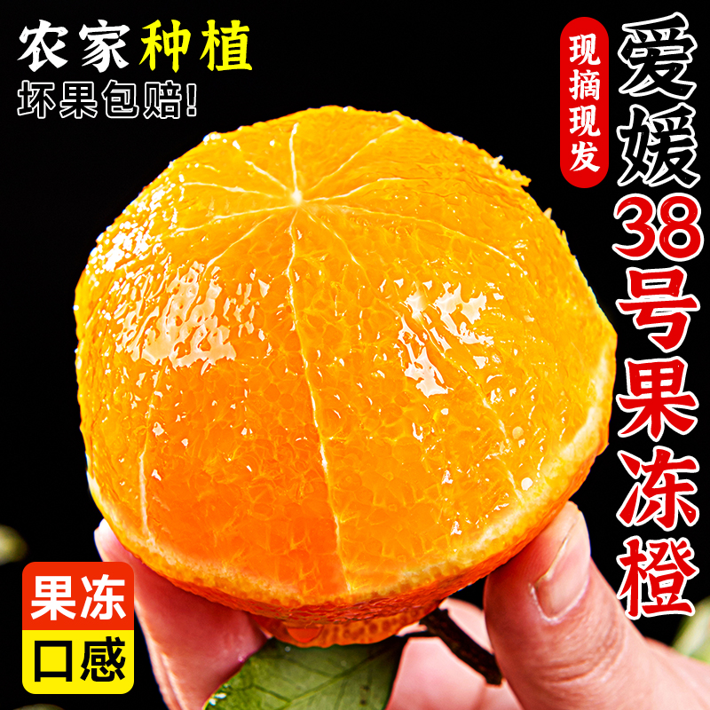 正宗爱媛38号果冻橙新鲜橙子水果当季四川蜜桔柑橘手剥橙整箱包邮