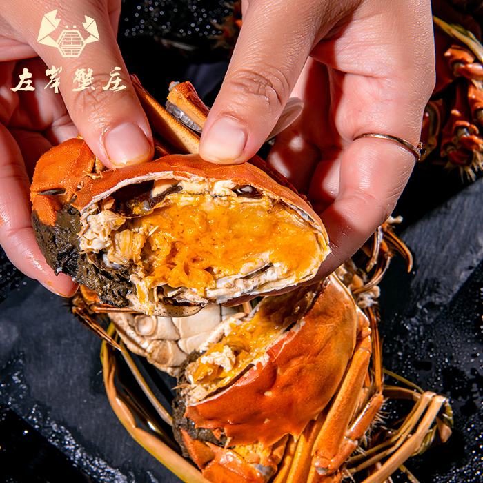 【活蟹新鲜】左岸蟹庄大闸蟹母2.5-2.8两4只公3.5-3.8两螃蟹4只鲜活