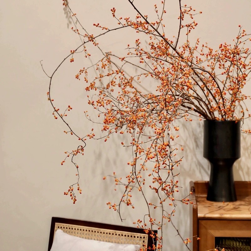 南蛇藤鲜切枝水培植物室内水养花卉干花灯台火棘山归来绿植鲜花