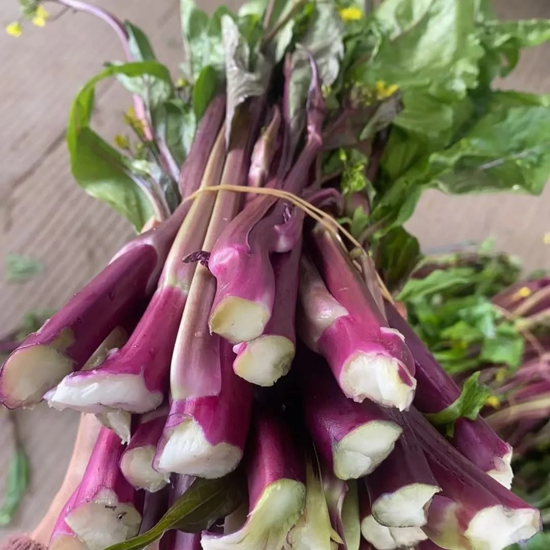 湖北红菜苔新鲜脆嫩农家蔬菜自种青菜当季菜心时令紫菜薹菜台苔菜