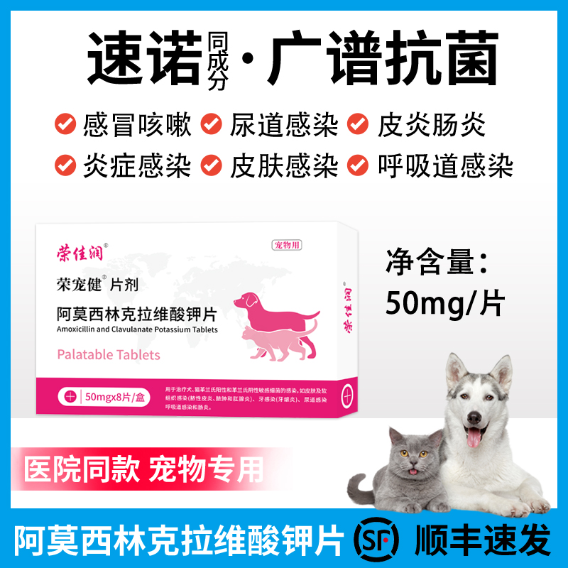 阿莫西林克拉维酸钾片消炎片猫鼻支猫用速诺狗感冒药咳嗽流鼻涕