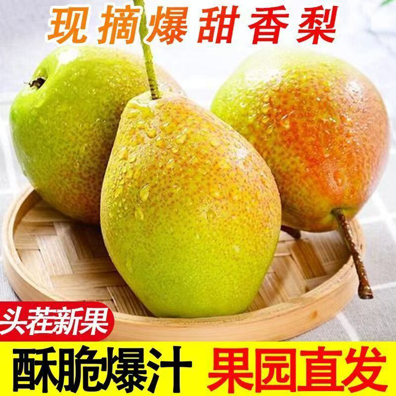 爆甜香梨皮薄多汁新鲜水果整箱包邮