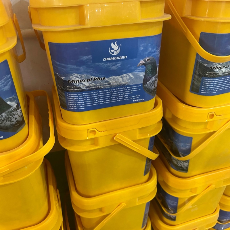 德飞尔全矿素保健砂