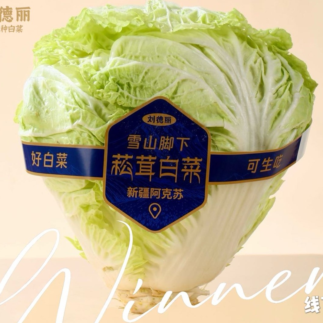新疆刘德丽菘茸白菜0农残雪山水灌溉鲜甜大白菜欧盟SGS533项检测