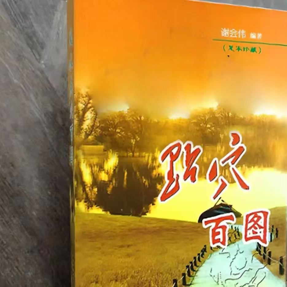 优选推荐好书 点穴百图394页 完整版书籍