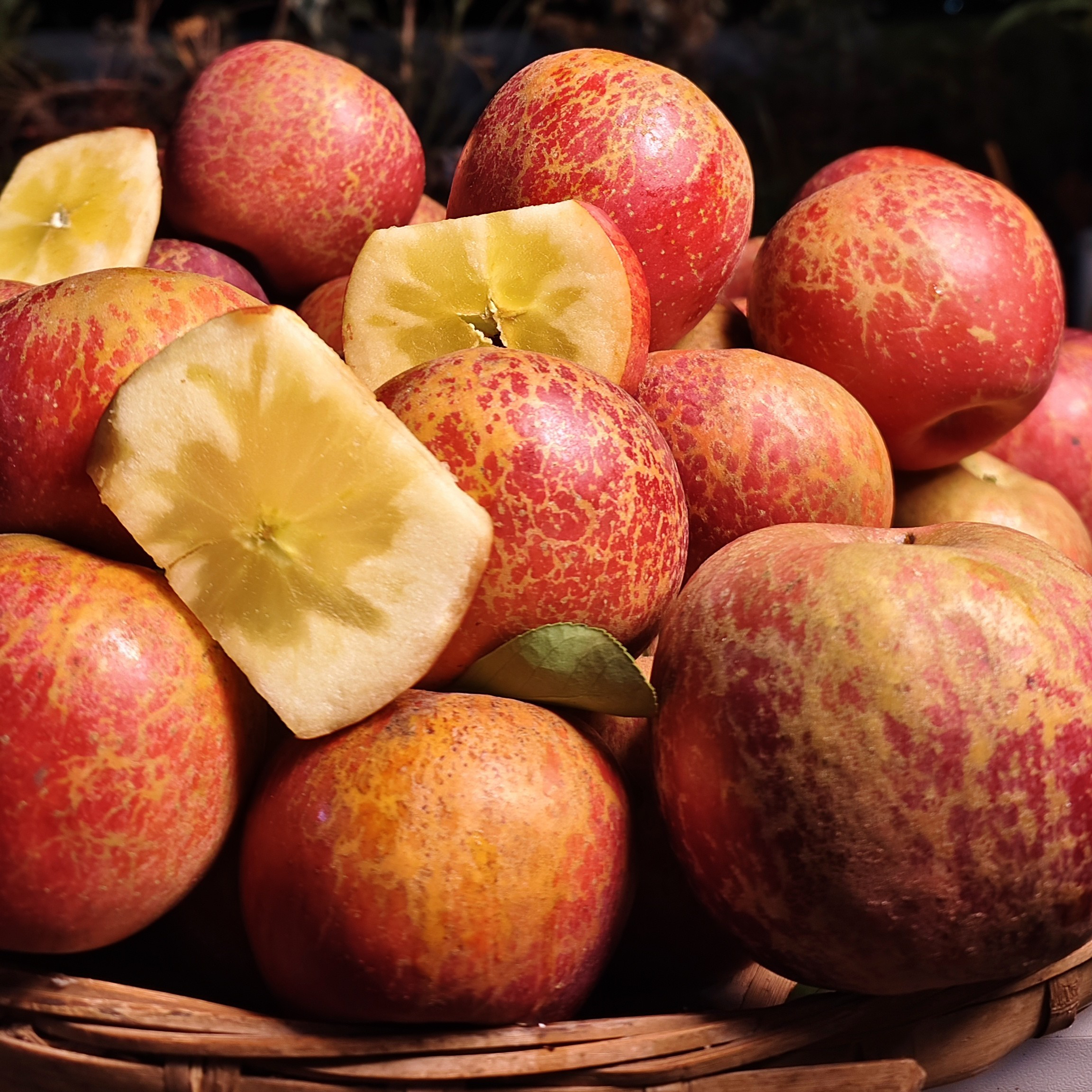 云南昭通丑苹果现摘当季水果脆甜多汁新鲜采摘