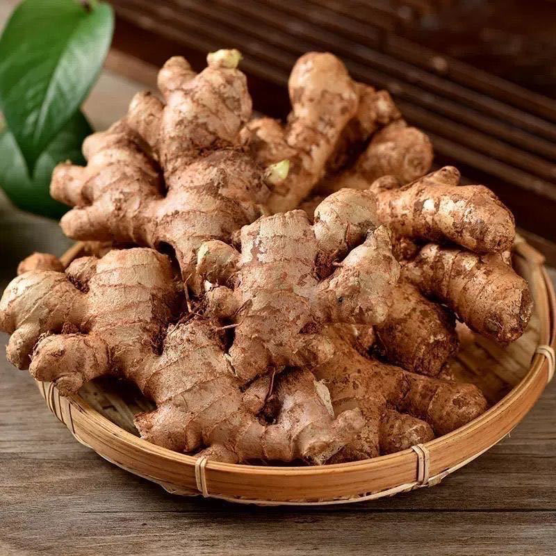 云南罗平小黄姜老姜1-9斤