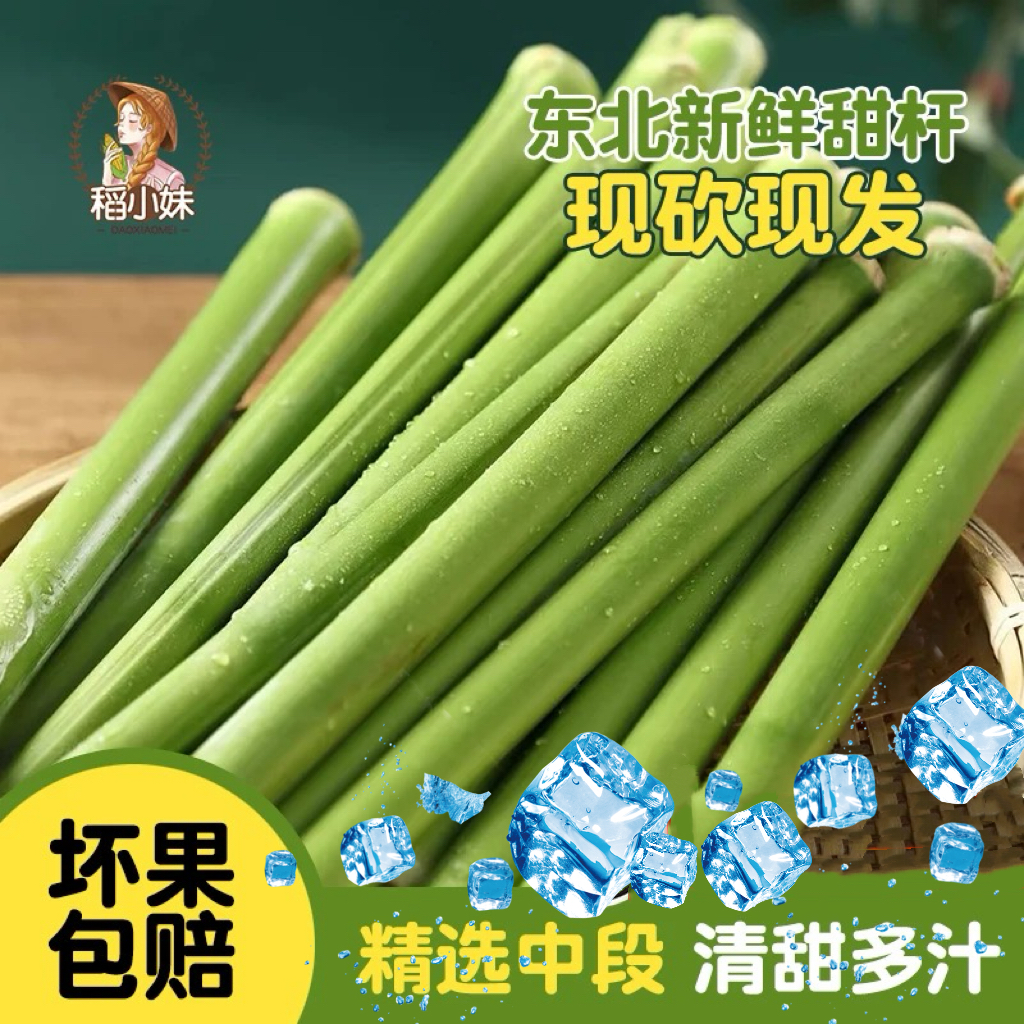 东北新鲜甜杆水果青皮甘蔗甜芦粟农家甜高粱甜杆小甘蔗