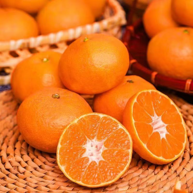 农裕良景【顺丰包邮】正宗临海涌泉蜜桔坏果包赔无打蜡当季无核水果