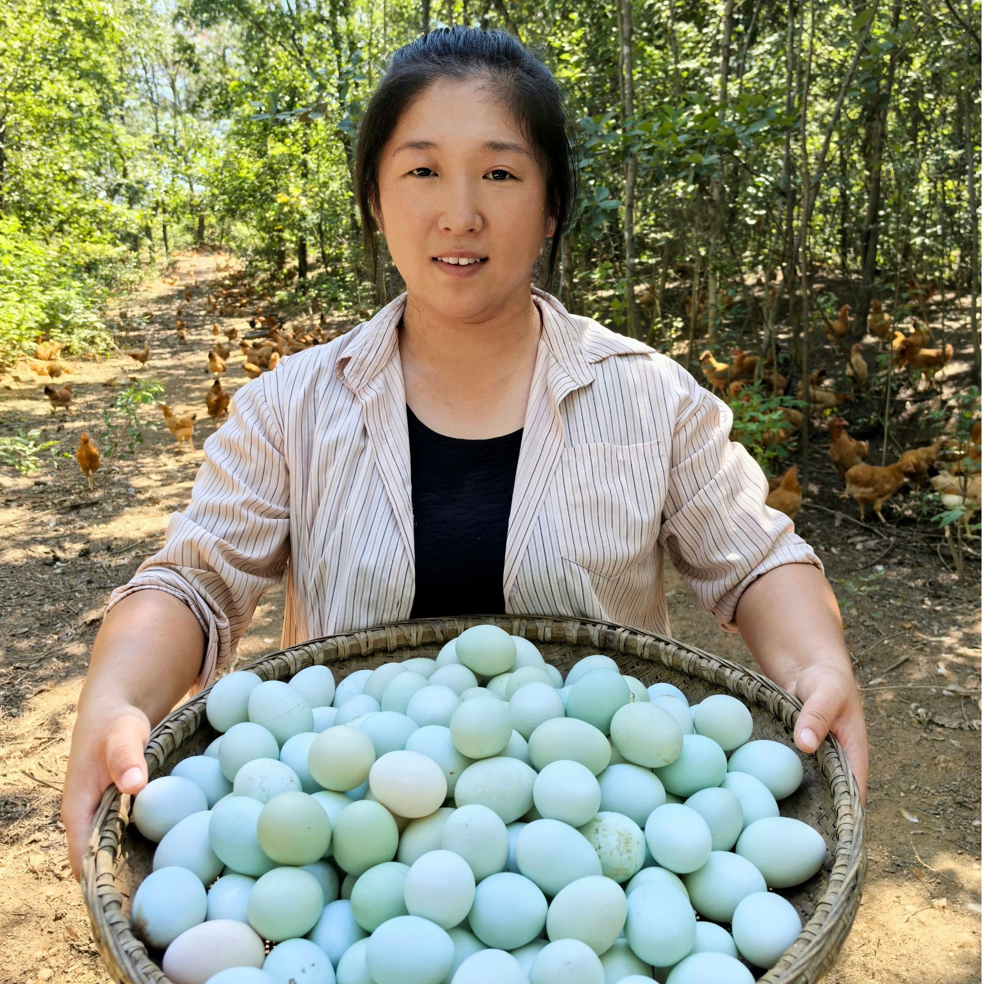 散养土鸡蛋农家自产新鲜现捡无激素孕妇儿童辅食高营养土鸡蛋50枚