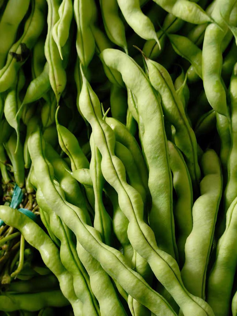 农家自种新鲜四季豆棒豆芸豆