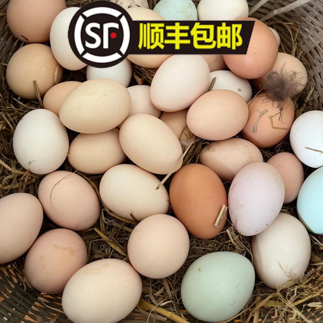 【顺丰包邮】当天现捡土鸡蛋散养鸡蛋 破损包赔