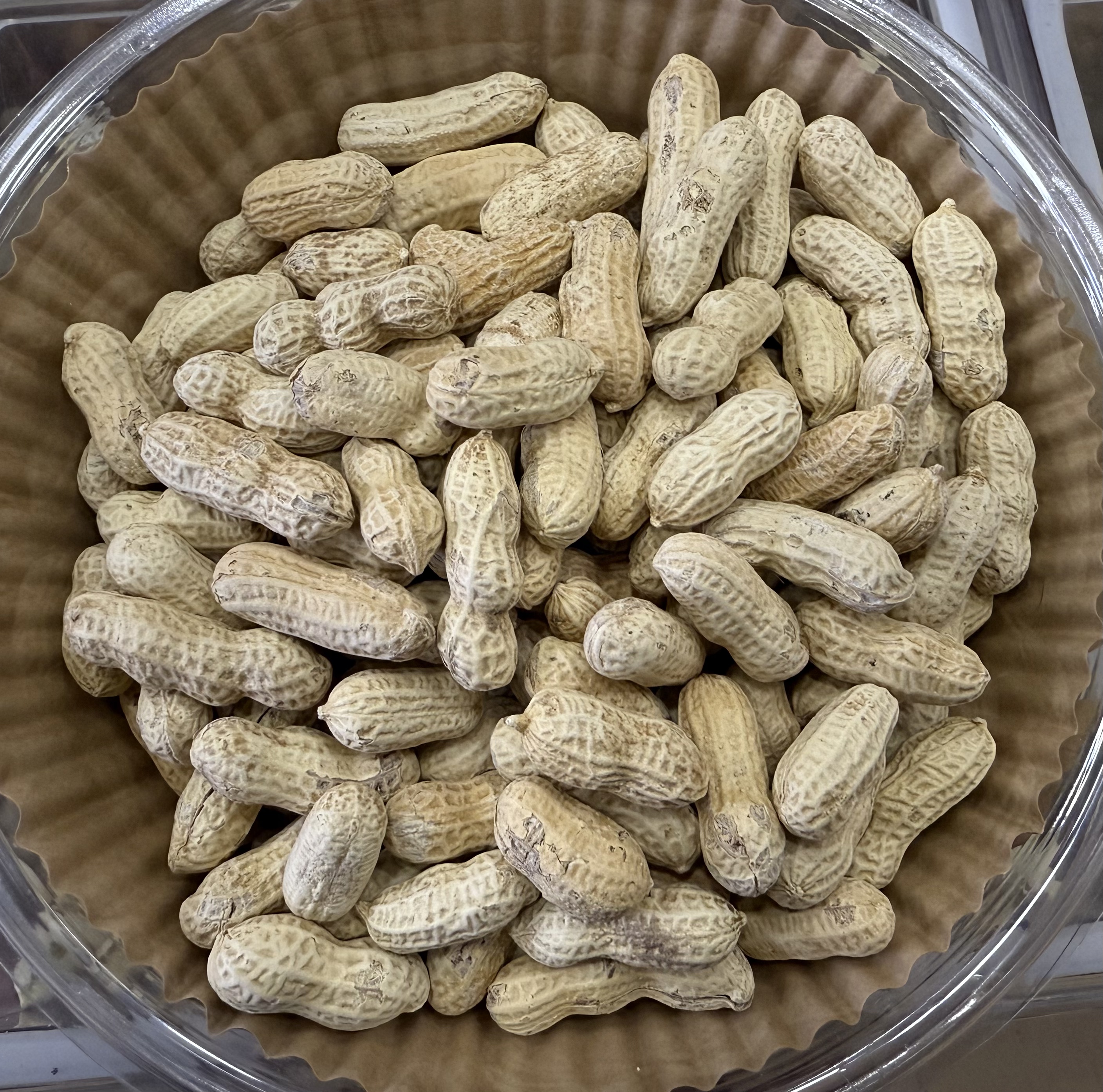 福建特产龙岩花生盐水煮