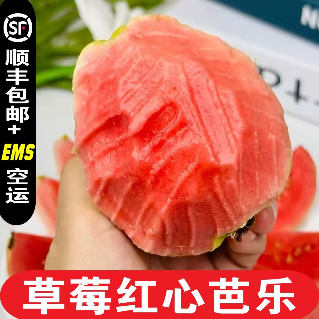 【放软吃】顺丰EMS发货广西红心番石榴新鲜水果白心芭乐软糯香甜