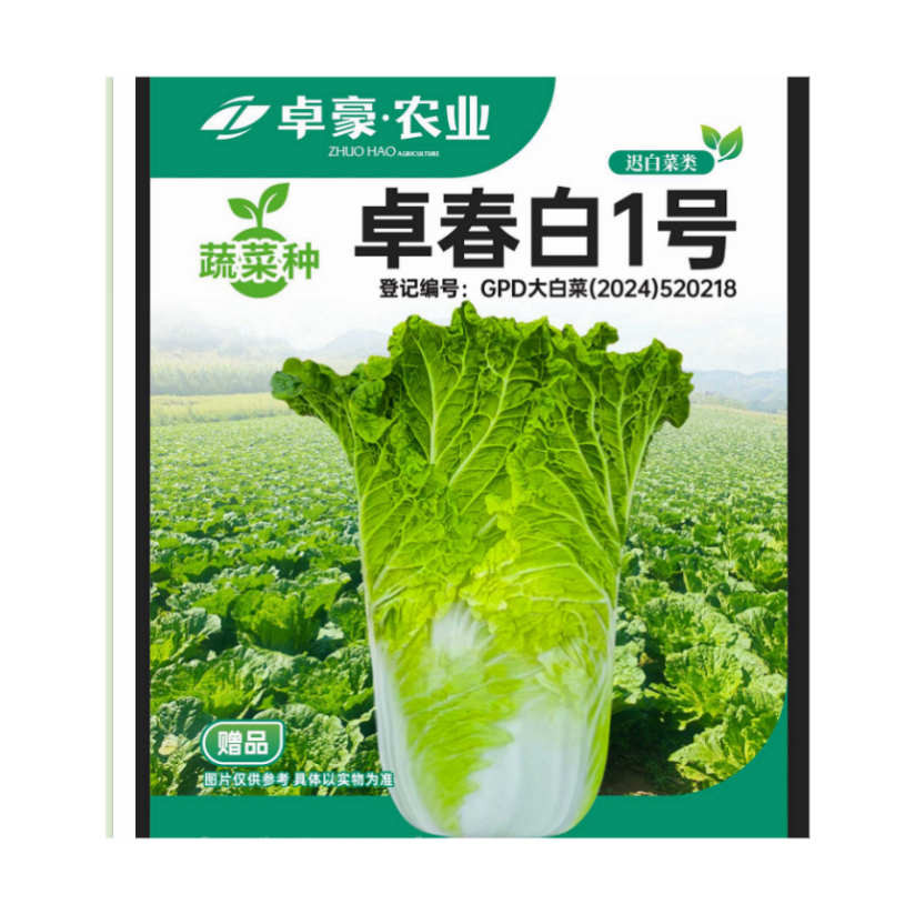 早熟杂交卓春白1号种子抗病耐抽苔四川大白菜蔬菜种子