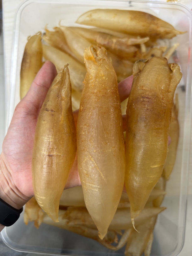 北海胶 苏里南 正北海 厚肉胶质多腥味低