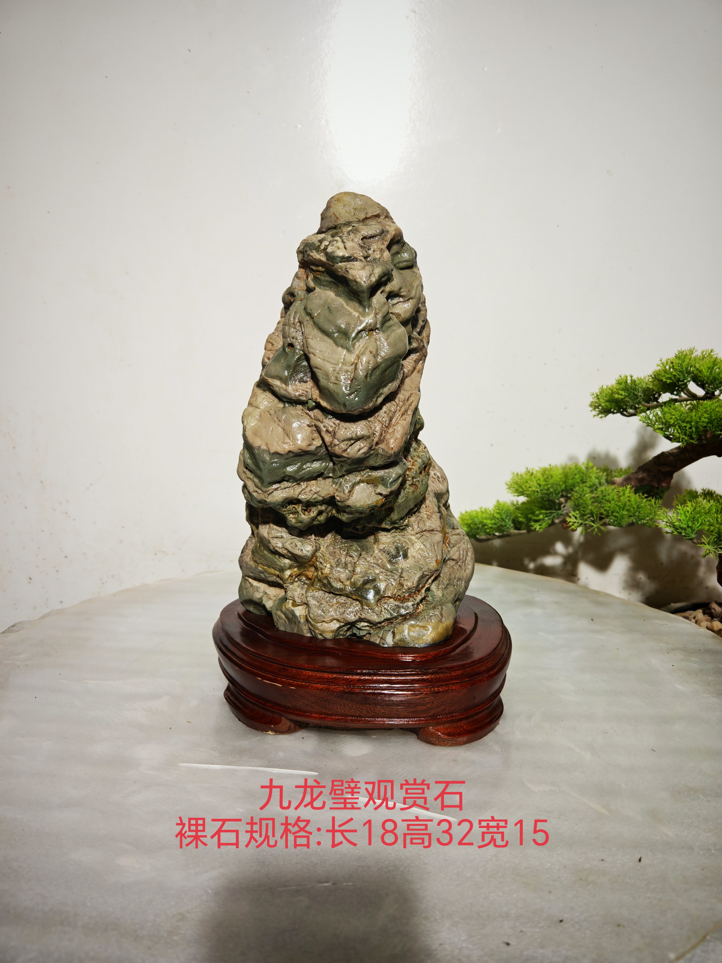 《石骥凌云》九龙璧观赏石，造型独特，天然完整景观石