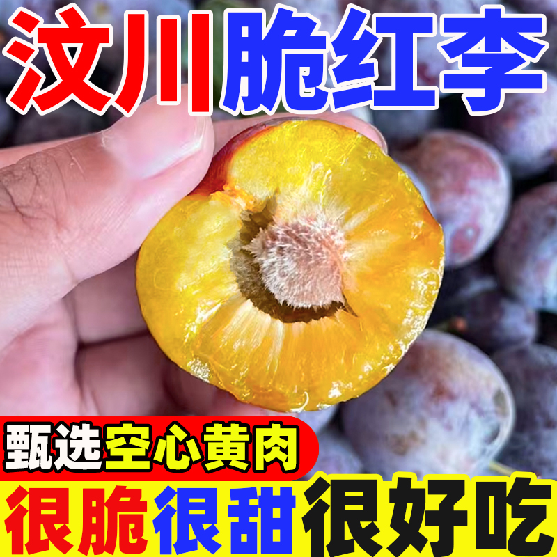 四川脆红李高山现摘应季新鲜水果水果黄肉脱骨