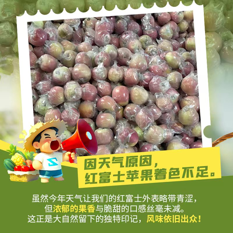陕西红富士苹果正宗红富士新鲜脆甜多汁应季水果整箱包邮