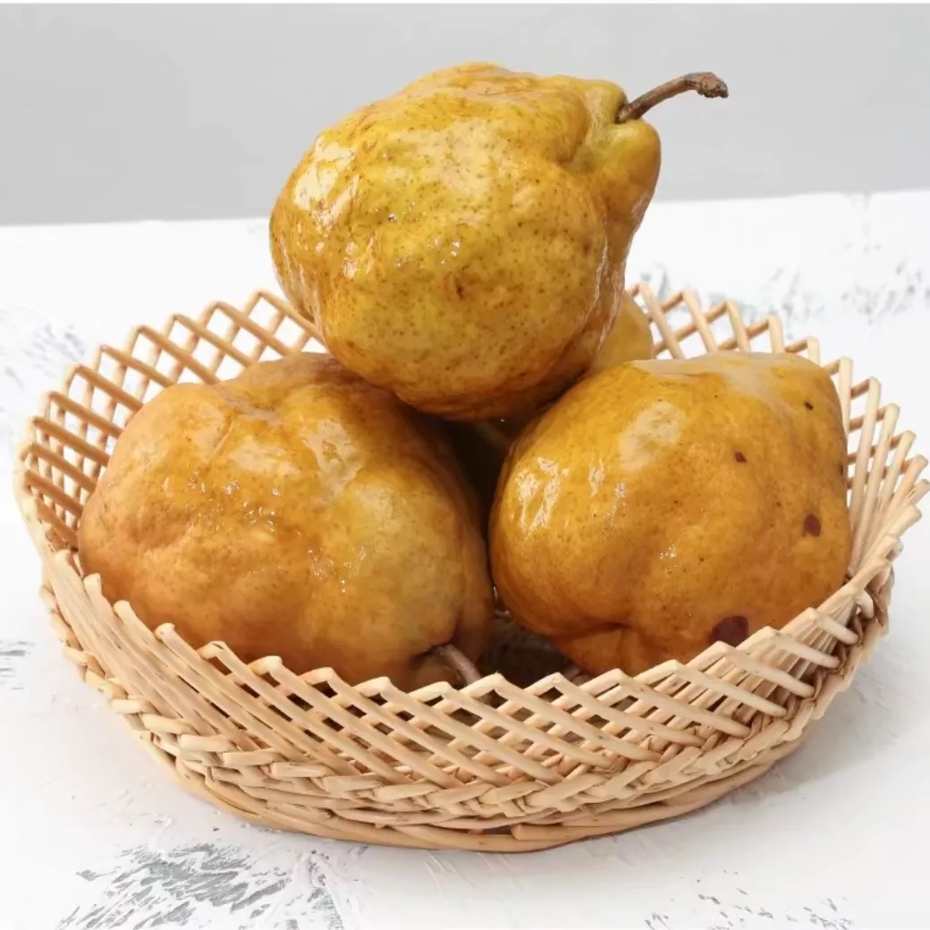 山东烟台丑梨正宗中华丑梨当季新鲜水果软糯多汁香甜可口AR