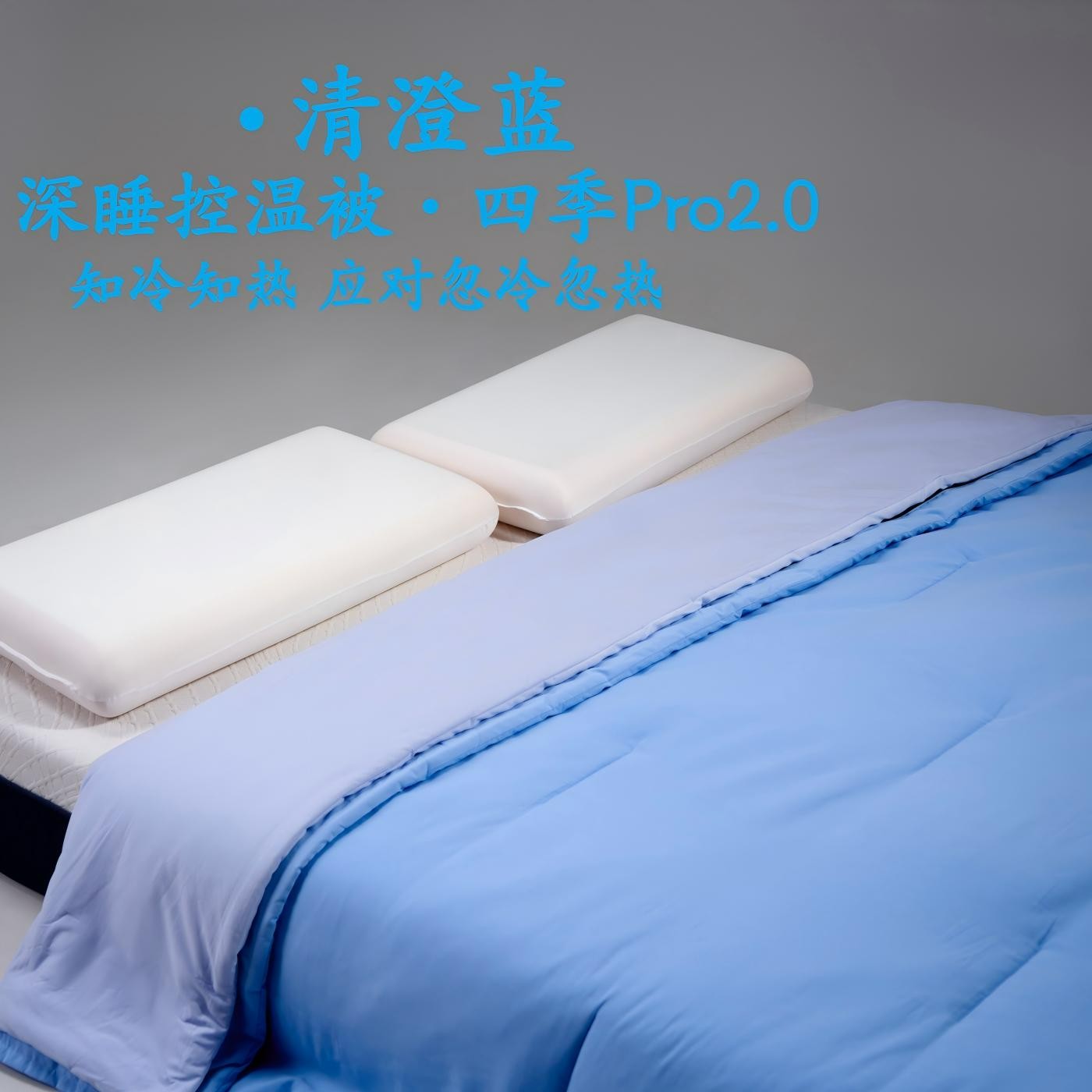【深睡控温被子·四季Pro2.0】秋冬款二合一子母被子豆豆空调被子芯