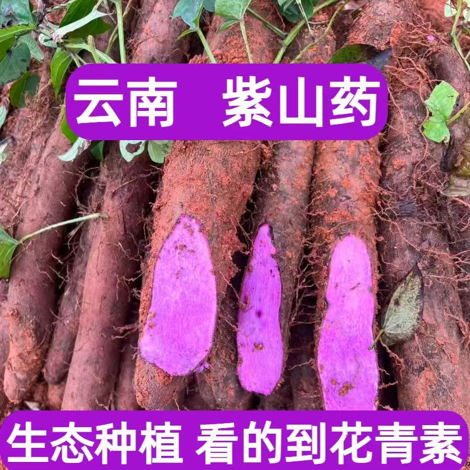 【新鲜现挖】云南正宗紫山药新鲜非铁棍山药紫色大薯脚板薯野生山药