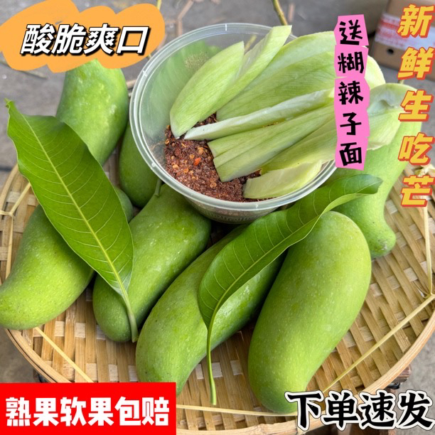 云南农产品四季芒果芽象牙芒现摘生吃新鲜酸脆爽口配傣家糊辣子
