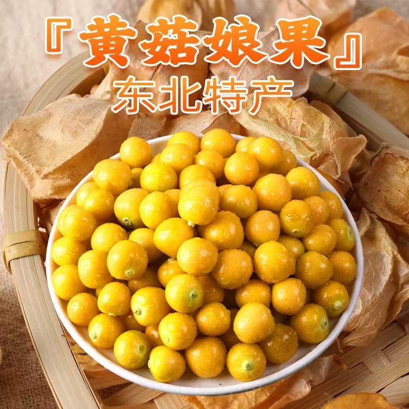 新鲜黄菇娘果应季香甜皮薄姑娘果