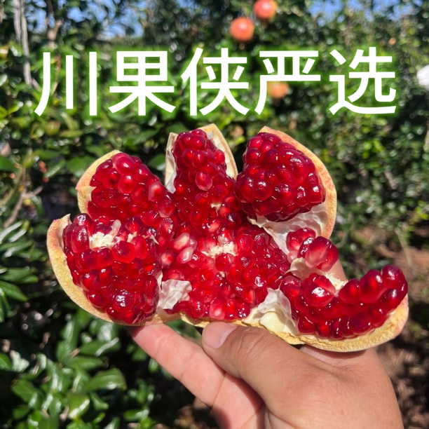 【A福利】正宗四川会理突尼斯软籽石榴4.5-5斤