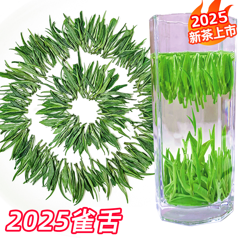 2025雀舌绿茶新茶叶明前贵州湄潭翠芽高山嫩芽毛尖浓香型一芽一叶