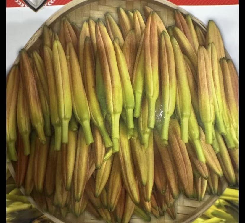 【黄花菜种子】当年开花黄花苗根四季金针菜苗