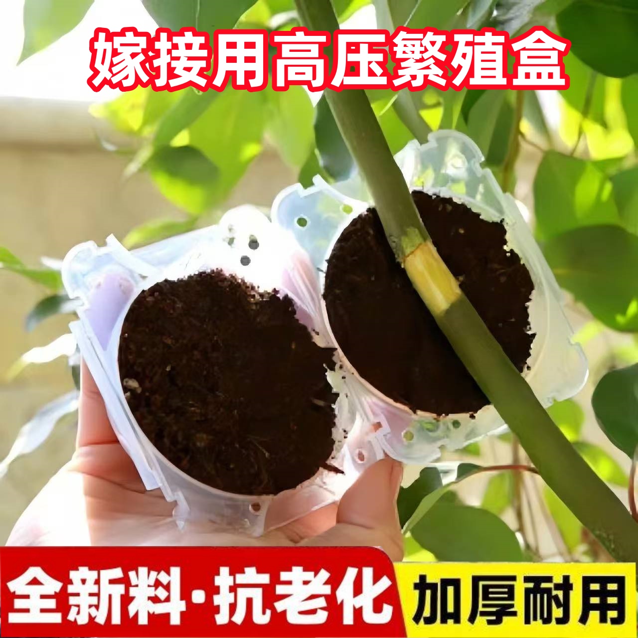 植物高压繁殖盒生根器树木高空压枝繁殖器繁殖球园艺嫁接繁殖盒