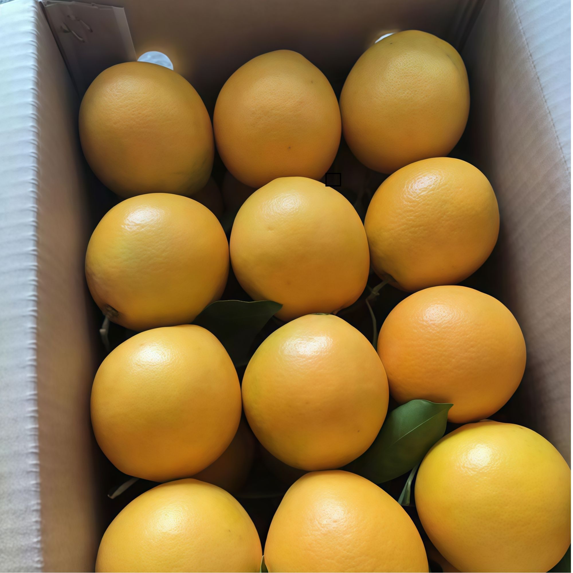 赣南脐橙源产地信丰橙乡精品果生态果新鲜果现采现发产地直接到家