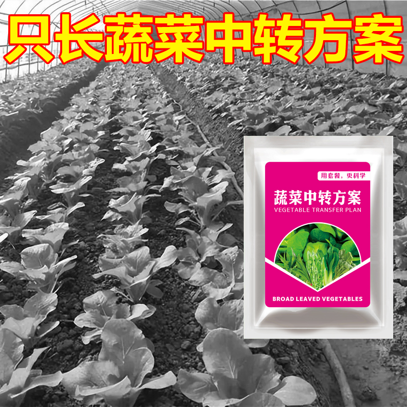 2蔬菜使用不伤农作物不影响作物生长升级版套装方案有机质肥料