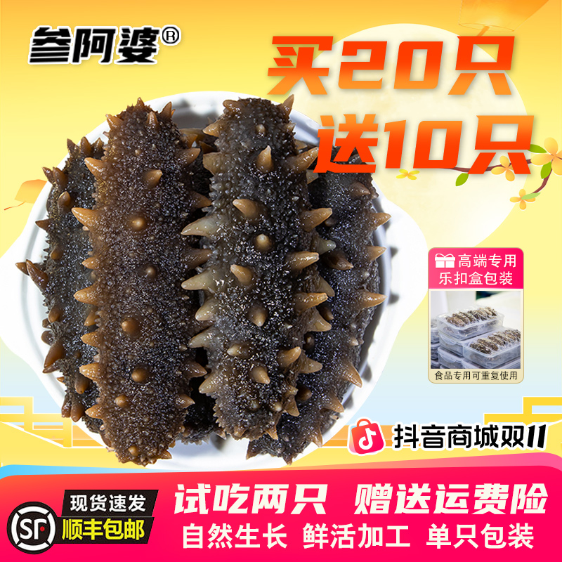 【双11抢鲜购】参阿婆鲜蒸海参新鲜海刺参单只包装买20送10头 S1-ZB
