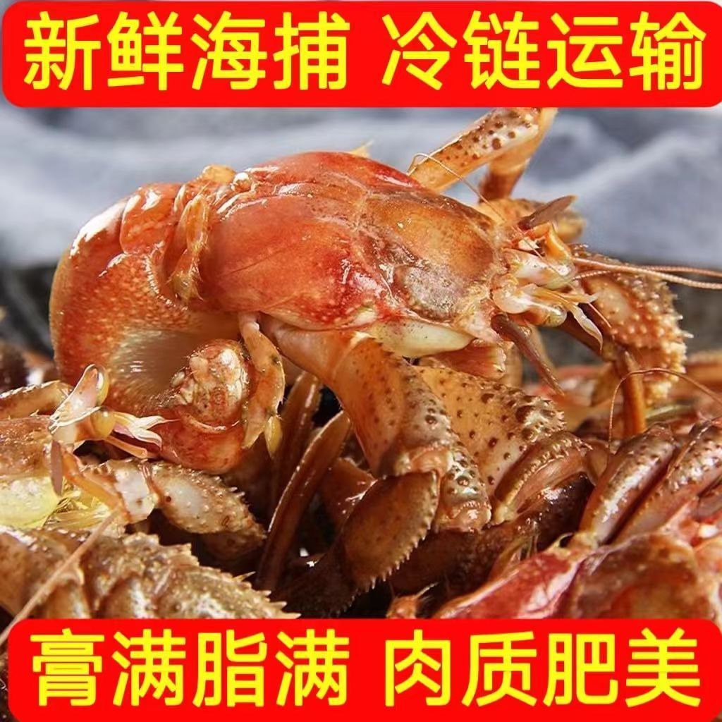 鲜活带壳虾怪海怪新鲜大个虾怪海鲜水产顺丰包邮